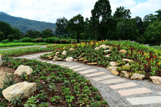 beautiful landscape garden pathway with rock decorative flower and green mountain view
