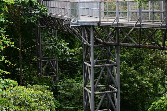 elevated steel mesh footbridge path with tall safety railing surrounded by tree