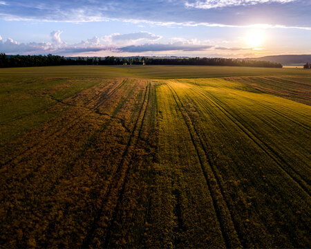 Aerial view of an agricultural field during golden hour with long shadows casting across the rows of crops and a distant treeline under a dramatic sunset sky in CZ.