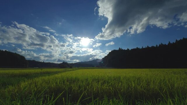 里山と田園