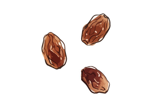 Fresh and Appetizing Raisin Illustration with Glossy Juicy Texture／シズル感のあるレーズンのイラスト