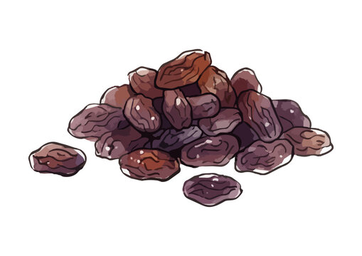 Fresh and Appetizing Raisin Illustration with Glossy Juicy Texture／シズル感のあるレーズンのイラスト