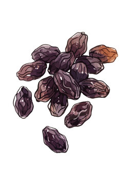 Fresh and Appetizing Raisin Illustration with Glossy Juicy Texture／シズル感のあるレーズンのイラスト