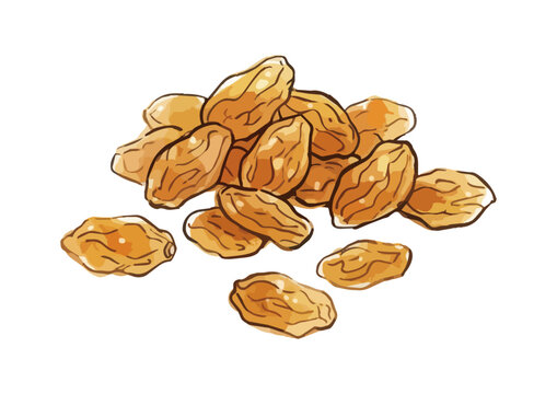 Fresh and Appetizing Raisin Illustration with Glossy Juicy Texture／シズル感のあるレーズンのイラスト