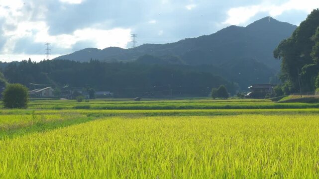 里山と田園
