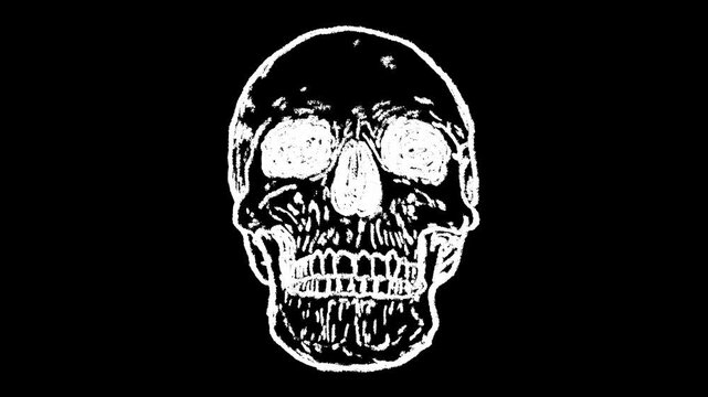 Hand-drawn white chalk human skull bone skeletal drawing on alpha 2