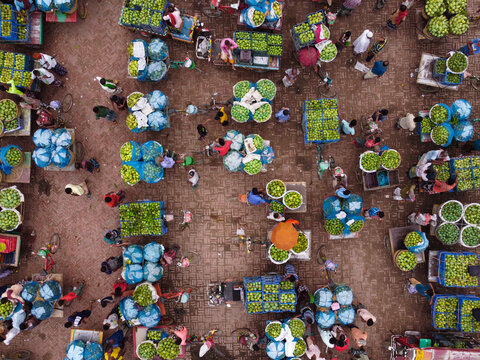Rajshahi, Bangladesh - 22 June 2022: Aerial view of the bustling Mango Market with numerous vendors and buyers navigating through rows of crates and baskets filled with fresh green mangoes.