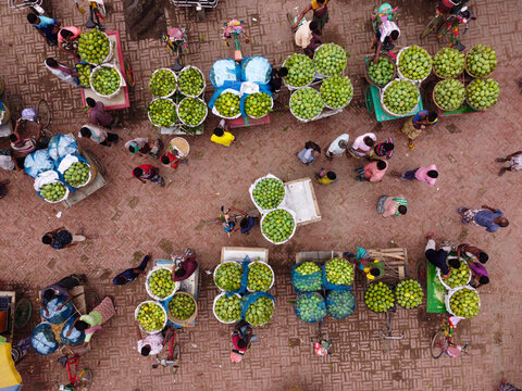 Rajshahi, Bangladesh - 22 June 2022: Aerial view of Mango Market with vendors selling fresh green mangoes from carts on a brick-paved ground.