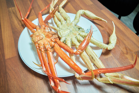A visual comparison of two premium steamed winter marine crustaceans on a plate. Captures the distinct color difference highlighting authentic regional coastal gastronomy for seafood industry media.