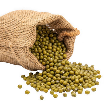 A burlap sack overflowing with green mung beans