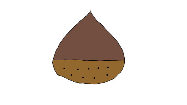 vector illustration of maron