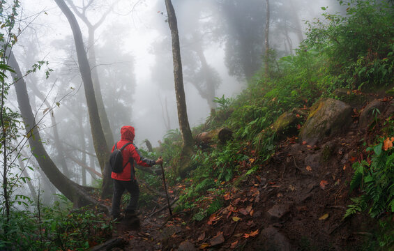 Hiker Trekking Through a Misty Mountain Forest in Vietnam