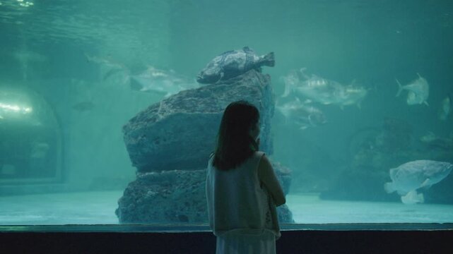 Asian mother holding her baby boy, watching big fish swimming in a giant aquarium tank.	
