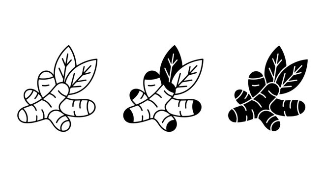 Ginger Root Vector Icons, Fresh Spice Rhizome Illustrations, Culinary Ingredient Graphics