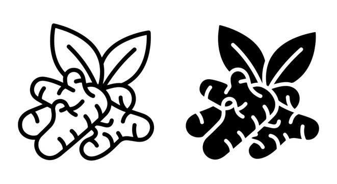Ginger Root Icons, Fresh Spice Illustration, Culinary Ingredient Vector Art