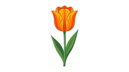 Obraz premium Orange Tulip Flower Vector Illustration