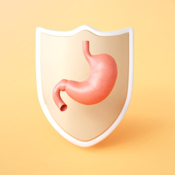Human stomach with shield. Stomach protection concept