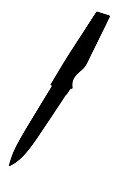 Kitchen knife for food preparation 