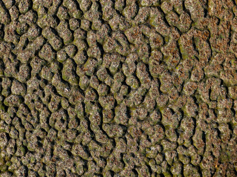 Aerial view of the textured, moss-covered volcanic rock formations at Litla-Viti, Husavik, Nordurthing, Iceland.