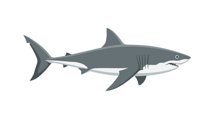 Naklejka premium Great White Shark Flat Vector Illustration