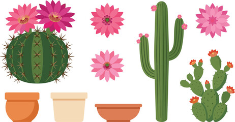 Blooming cactus vector set with pink flowers terracotta clay pots saguaro and prickly pear elements for desert garden home decor and botanical designs © mdnazrul