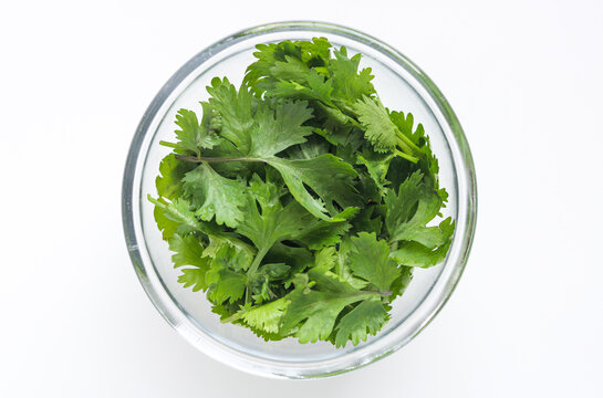 Top-down view of fresh coriander leaves in a small clear glass bowl on a white surface.