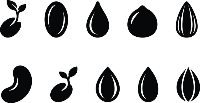 Set of black silhouette icons representing various seeds sprouts beans and agricultural plant growth stages