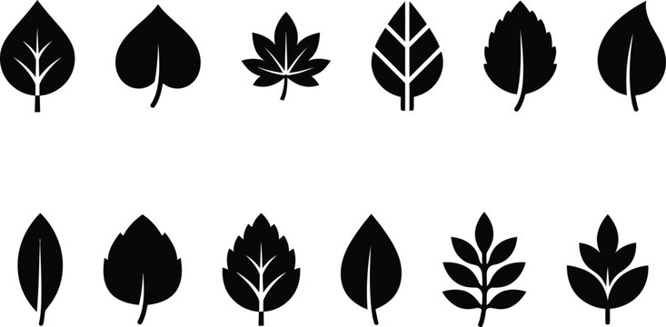 Set of various black silhouettes of different tree leaves isolated on transparent  background