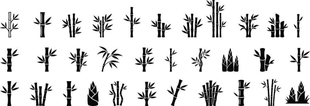 Collection of various bamboo plant silhouettes and ink brush style illustrations on transparent background