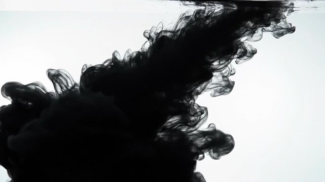 Abstract black ink swirling in clear water with white background artistic liquid texture