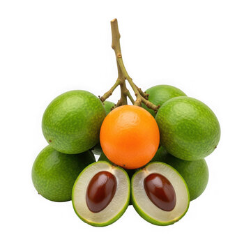 A cluster of ackee fruits on a branch