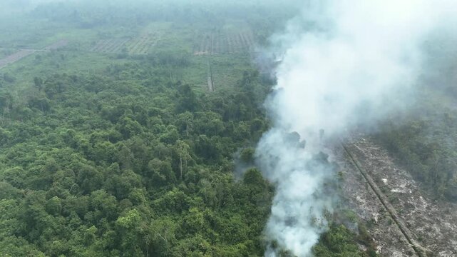 Aerial view of forest fire smoke rising from a deforested area in the rainforest.