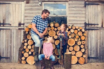 Firewood Fuelwood Lumber Timber Lumber Log Concept