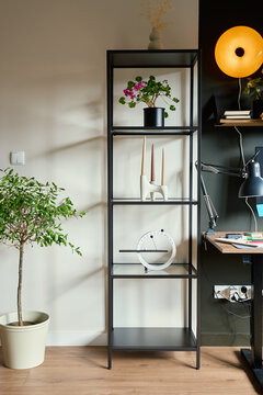 Tall shelf with plants and decor beside home office desk