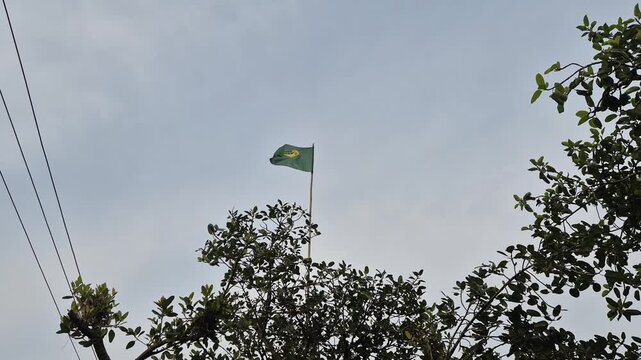 Brazil National Flag Waving Low Angle Shot Bamboo Pole Tree Top Fan Video