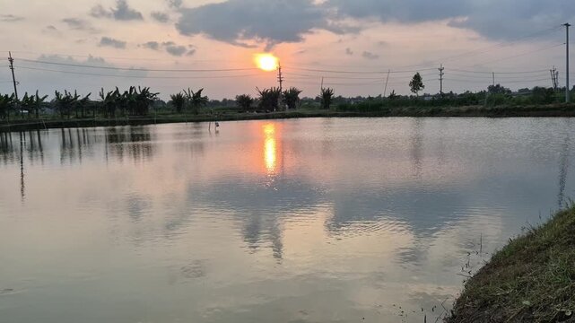 Beautiful Sunset Over Rural Fish Pond Wide Shot Sun Reflection Evening Video