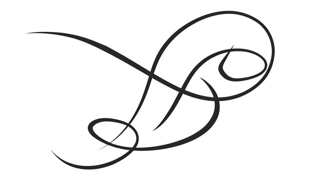 Elegant black swirl design on white background.