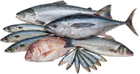 Obraz premium Assorted raw fresh fish isolated on black.