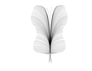 feather on white background © Kolpona