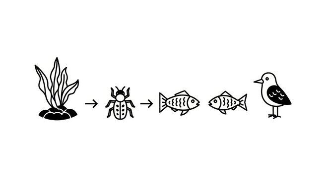 Food chain with plant, insect, fish, and bird.