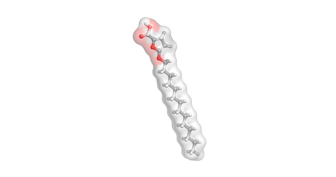 TOFA, fatty acid synthesis inhibitor, 3D molecule 4K
