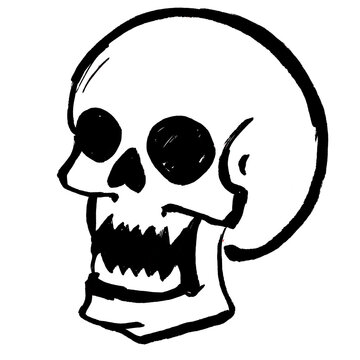 Hand drawn black and white human skull illustration with sharp teeth 