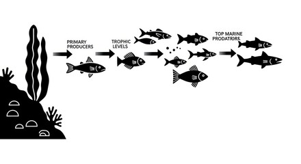 Fototapeta premium Fish Food Chain Diagram Illustration.