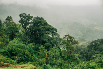 Traditional raised bamboo hut surrounded by misty mountain scenery and lush vegetation © Александр Коноплев