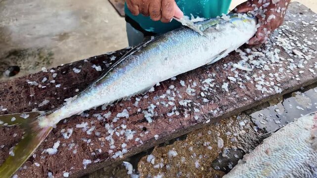 High-angle close-up of a fisherman scaling a fresh fish with a knife on wooden table as scales fly around off table