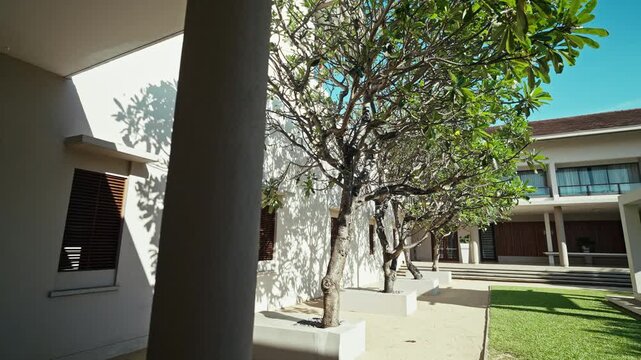 Morning light throws the shadow of a frangipani tree across the white wall of a quiet modern hotel courtyard in Sri Lanka. The courtyard stays cool even at midday.
