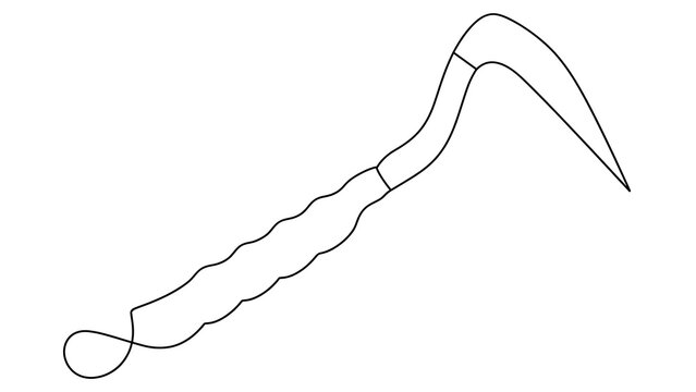 Hookworm illustration on white background.