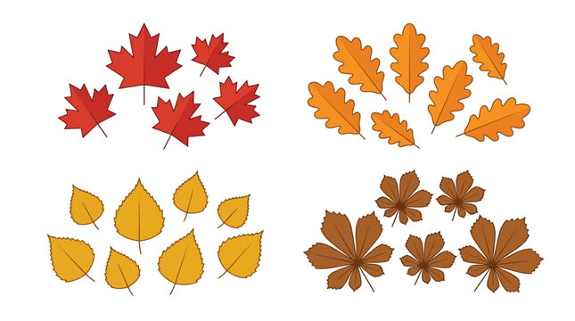 Collection of vibrant autumn leaves with red maple, golden oak, yellow birch, and brown chestnut foliage elements on a white background