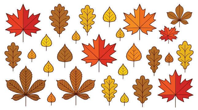 Autumn leaves collection featuring detailed oak, maple, and chestnut foliage in warm seasonal colors