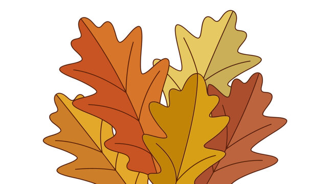 Collection of stylized autumn oak leaves vector illustration in warm orange yellow and brown colors on white background